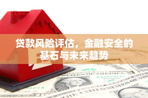 洛扎贷款风险评估，金融安全的基石与未来趋势