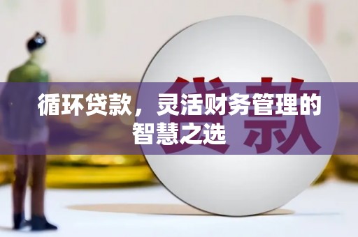 洛扎循环贷款，灵活财务管理的智慧之选