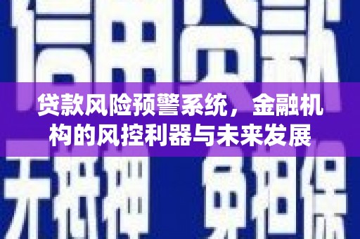 洛扎贷款风险预警系统，金融机构的风控利器与未来发展