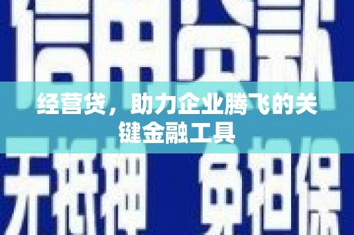 洛扎经营贷，助力企业腾飞的关键金融工具