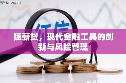 洛扎随薪贷，现代金融工具的创新与风险管理