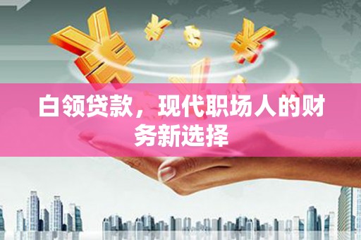 洛扎白领贷款，现代职场人的财务新选择