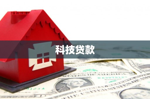 洛扎科技贷款