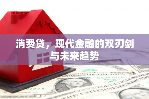 洛扎消费贷，现代金融的双刃剑与未来趋势