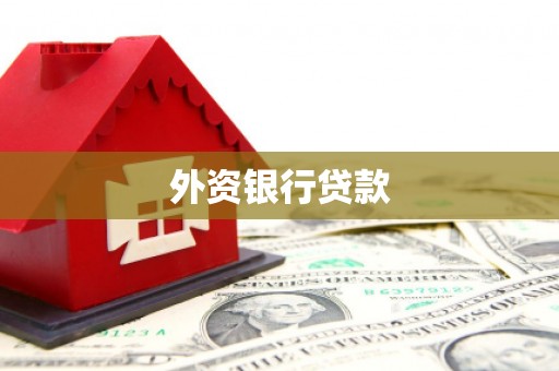 洛扎外资银行贷款