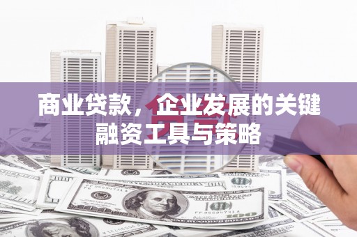 洛扎商业贷款，企业发展的关键融资工具与策略