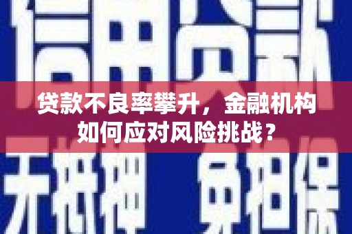 洛扎贷款不良率攀升，金融机构如何应对风险挑战？