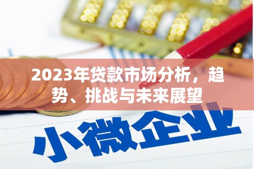 洛扎2023年贷款市场分析，趋势、挑战与未来展望