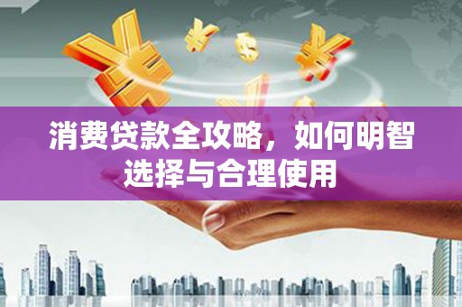 洛扎消费贷款全攻略，如何明智选择与合理使用