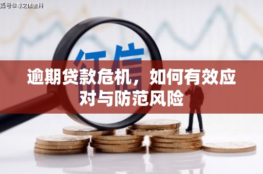 洛扎逾期贷款危机，如何有效应对与防范风险