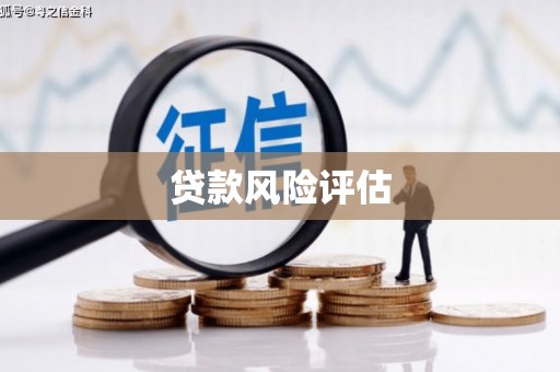 洛扎贷款风险评估