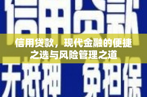 洛扎信用贷款，现代金融的便捷之选与风险管理之道