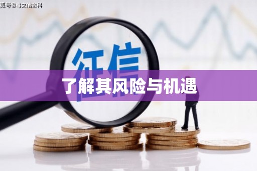 洛扎了解其风险与机遇
