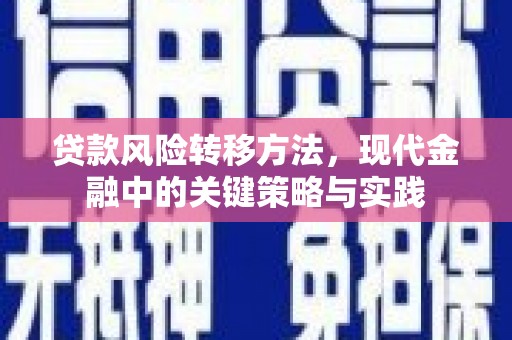 洛扎贷款风险转移方法，现代金融中的关键策略与实践