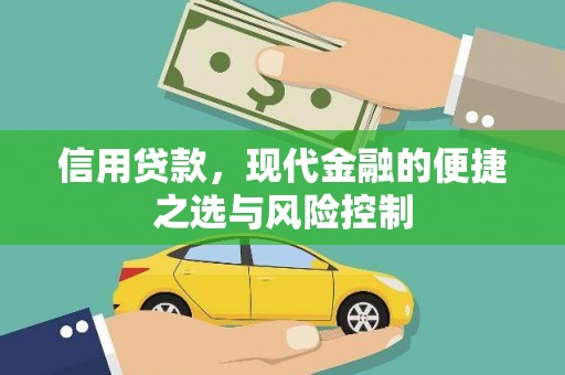 洛扎信用贷款，现代金融的便捷之选与风险控制