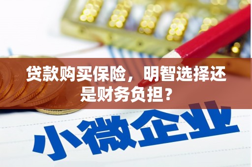 洛扎贷款购买保险，明智选择还是财务负担？