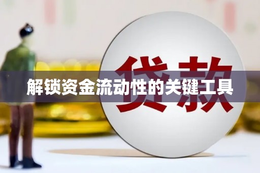 洛扎解锁资金流动性的关键工具