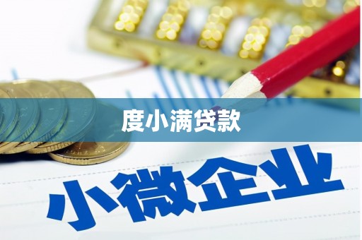 洛扎度小满贷款