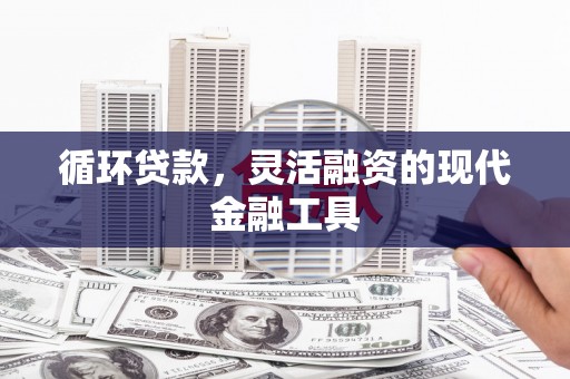 洛扎循环贷款，灵活融资的现代金融工具