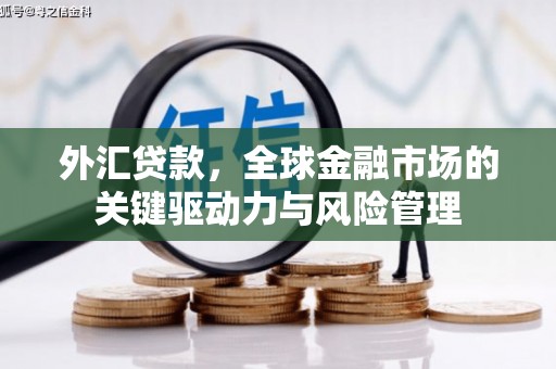 洛扎外汇贷款，全球金融市场的关键驱动力与风险管理