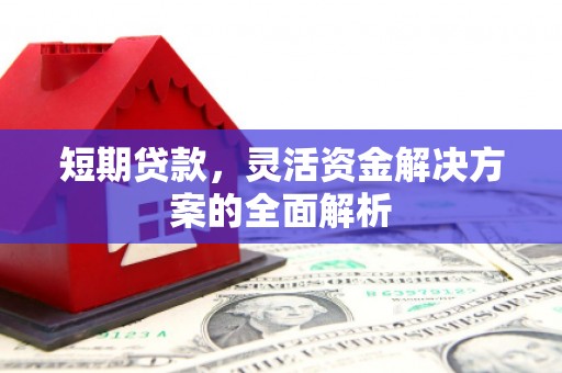 洛扎短期贷款，灵活资金解决方案的全面解析