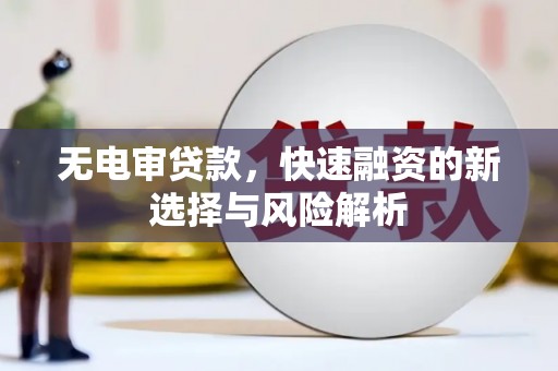 洛扎无电审贷款，快速融资的新选择与风险解析