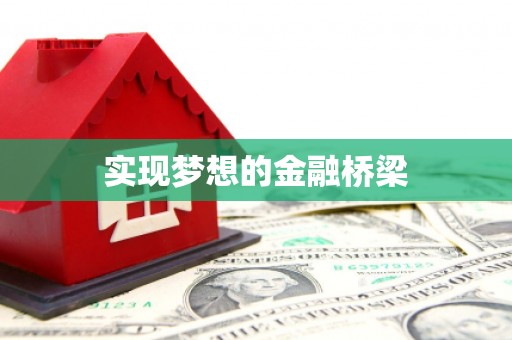 洛扎实现梦想的金融桥梁