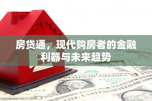 洛扎房贷通，现代购房者的金融利器与未来趋势