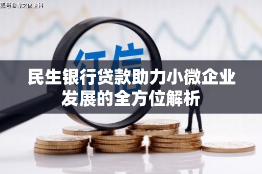 洛扎民生银行贷款助力小微企业发展的全方位解析
