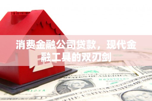 洛扎消费金融公司贷款，现代金融工具的双刃剑
