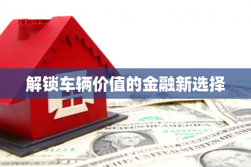 洛扎解锁车辆价值的金融新选择