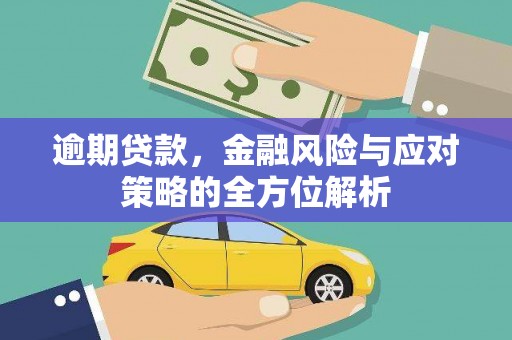 洛扎逾期贷款，金融风险与应对策略的全方位解析