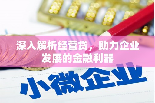 洛扎深入解析经营贷，助力企业发展的金融利器