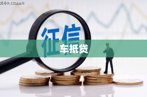 洛扎车抵贷