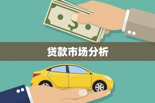 洛扎贷款市场分析