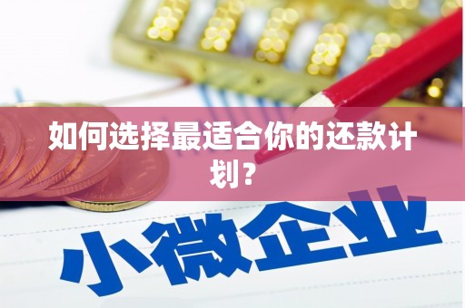 洛扎如何选择最适合你的还款计划？