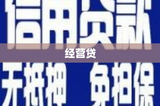 洛扎经营贷