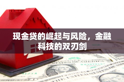 洛扎现金贷的崛起与风险，金融科技的双刃剑