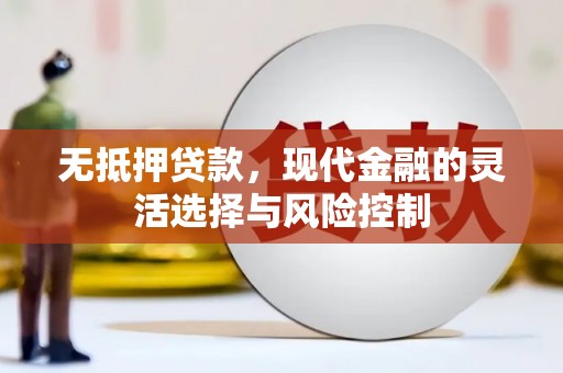 洛扎无抵押贷款，现代金融的灵活选择与风险控制