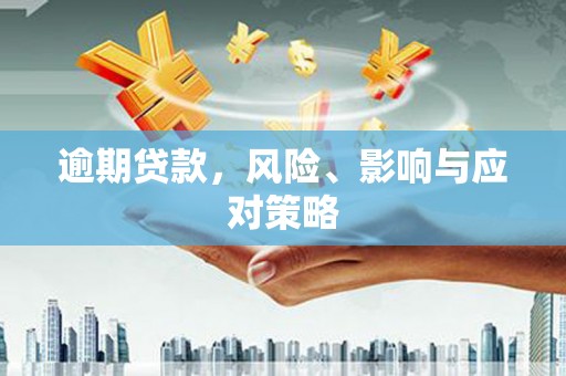 洛扎逾期贷款，风险、影响与应对策略