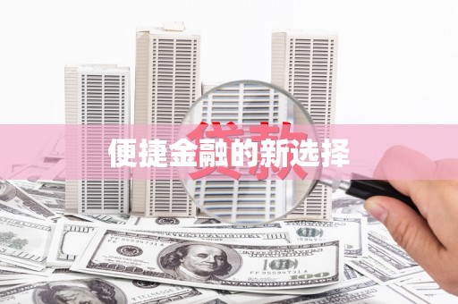 洛扎便捷金融的新选择