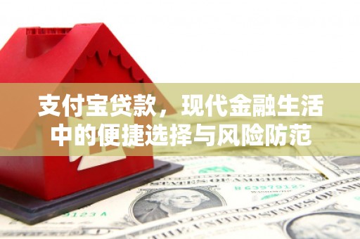 洛扎支付宝贷款，现代金融生活中的便捷选择与风险防范