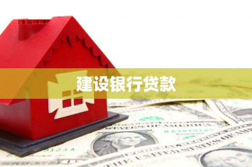 洛扎建设银行贷款