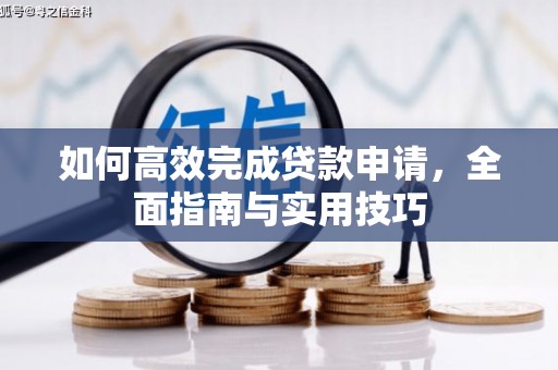 洛扎如何高效完成贷款申请，全面指南与实用技巧