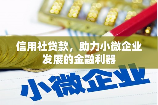 洛扎信用社贷款，助力小微企业发展的金融利器