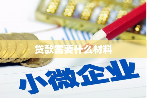 洛扎贷款需要什么材料