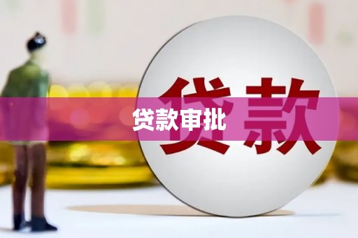 洛扎贷款审批