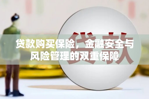 洛扎贷款购买保险，金融安全与风险管理的双重保障