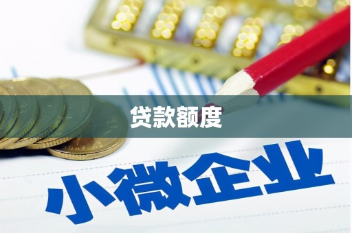 洛扎贷款额度