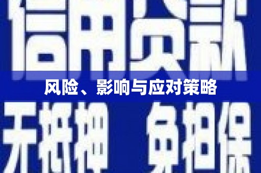 洛扎风险、影响与应对策略